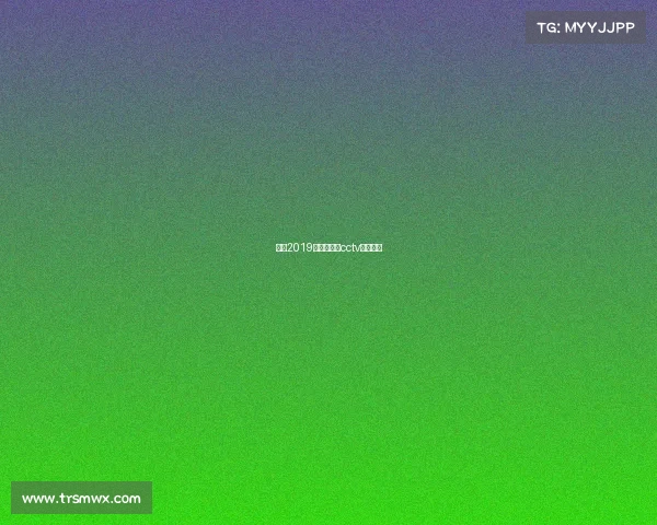 欧冠2019赛事版权—cctv欧冠版权